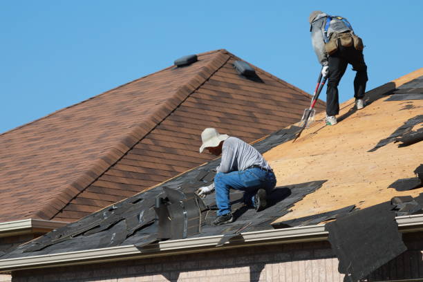 Best Sheet Metal Roofing  in Bull Run, VA