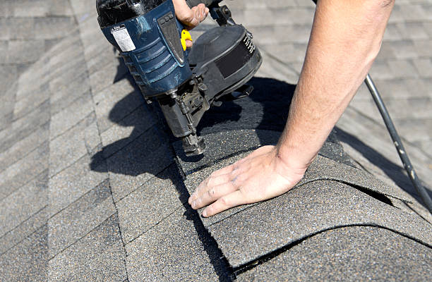 Best Roof Moss and Algae Removal  in Bull Run, VA